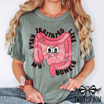 'Very Irritated Like My Bowels' Shirt | Vintage Washed Tee